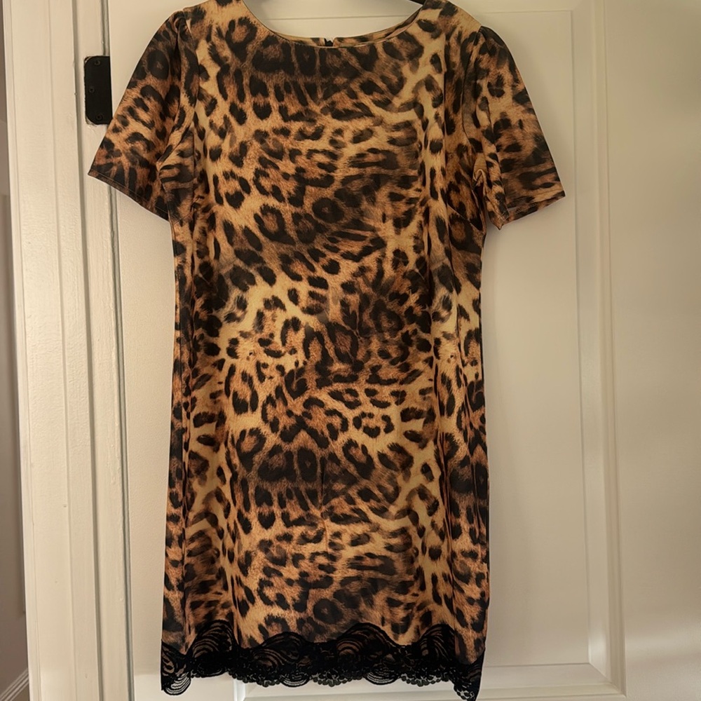 Zara Cheetah Print Dress